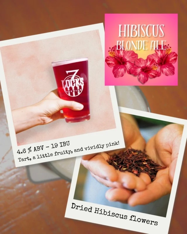 A hand raising a vividly pink pint of Hibiscus Blonde Ale, beside a handful of dried hibiscus flowers